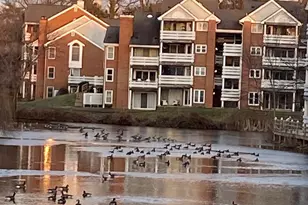 7604 Lakeside Village Dr, Falls Church, VA 22042 - Photo 2