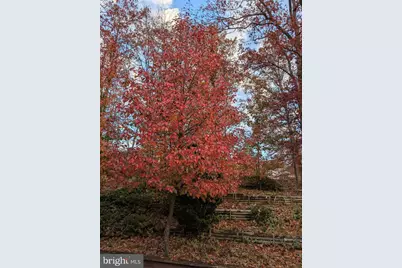 7580 Woodstown Drive, Springfield, VA 22153 - Photo 42