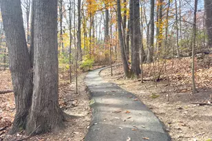 6143 Martins Landing Ct, Burke, VA 22015 - Photo 48