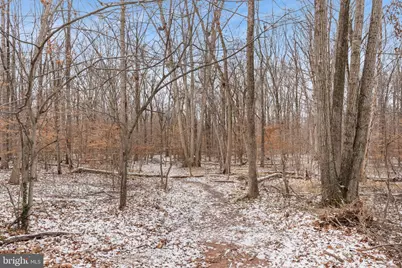 14839 Maidstone Court, Centreville, VA 20120 - Photo 32