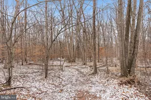 14839 Maidstone Ct, Centreville, VA 20120 - Photo 32