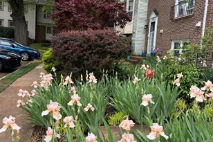 2810 Andiron Ln, Vienna, VA 22180 - Photo 36