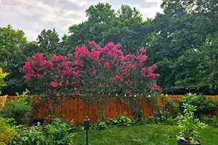 7114 Westfield Ct, Alexandria, VA 22306 - Photo 40