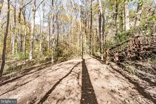 11410 Octagon Ct, Fairfax, VA 22030 - Photo 66