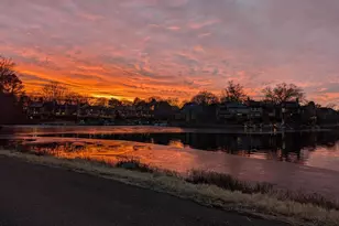 11276 Silentwood Ln, Reston, VA 20191 - Photo 44