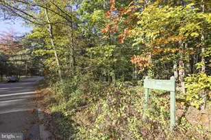 3401 Blue Mallard Landing, Alexandria, VA 22306 - Photo 48