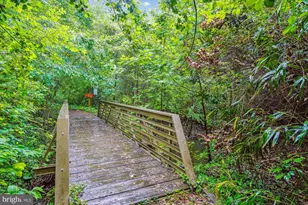3401 Blue Mallard Landing, Alexandria, VA 22306 - Photo 56
