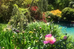 10809 Nicholsridge Rd, Great Falls, VA 22066 - Photo 52