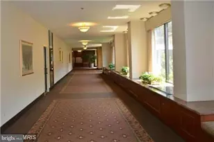 3709 George Mason Dr S, Falls Church, VA 22041 - Photo 16