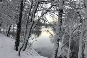 5412 Midship Ct, Burke, VA 22015 - Photo 36