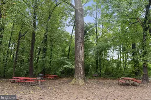 6147 Leesburg Pike, Falls Church, VA 22041 - Photo 46