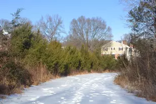 6015 Ticonderoga Ct, Burke, VA 22015 - Photo 106