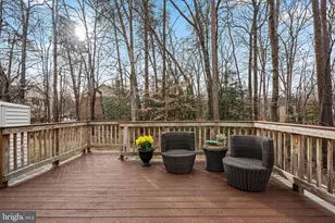 7433 Spring Tree Dr, Springfield, VA 22153 - Photo 50