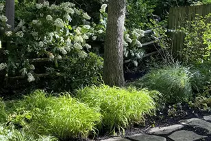 3402 Charleson St, Annandale, VA 22003 - Photo 70