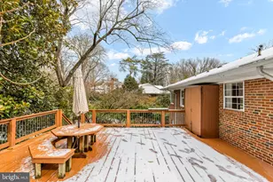 3442 Glen Carlyn Dr, Falls Church, VA 22041 - Photo 44