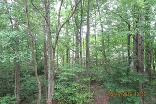 1537 Church Hill Pl, Reston, VA 20194 - Photo 26