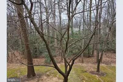 1537 Church Hill Place #1537, Reston, VA 20194 - Photo 28