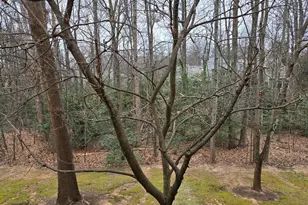 1537 Church Hill Pl, Reston, VA 20194 - Photo 28