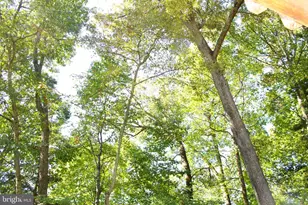 5414 Southport Ln, Fairfax, VA 22032 - Photo 30