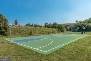 6908 Dr, Alexandria, VA 22310 - Photo 34