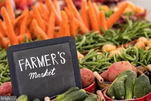 5833 Cove Landing Rd, Burke, VA 22015 - Photo 16