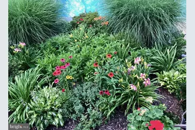 8106 Karl Road, Alexandria, VA 22308 - Photo 60