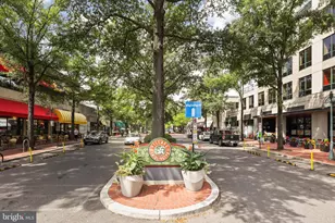 3713 S George Mason Dr, Falls Church, VA 22041 - Photo 24