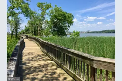 6609 Potomac Avenue #B1, Alexandria, VA 22307 - Photo 28