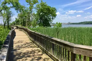 6609 Potomac Ave, Alexandria, VA 22307 - Photo 28