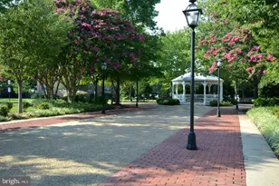 6609 Potomac Ave, Alexandria, VA 22307 - Photo 22