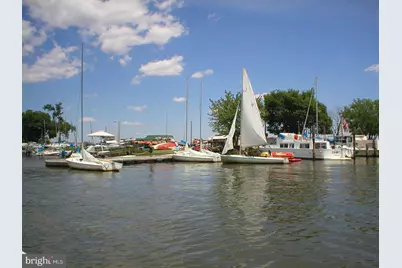 6609 Potomac Avenue #B1, Alexandria, VA 22307 - Photo 30