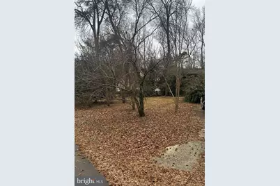 7808 Ridgecrest Drive, Alexandria, VA 22308 - Photo 4