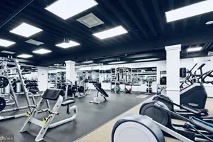 6251 Windham Hill Run, Alexandria, VA 22315 - Photo 42