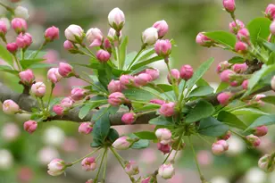 2205 Paul Spring Rd, Alexandria, VA 22307 - Photo 94