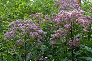 2205 Paul Spring Rd, Alexandria, VA 22307 - Photo 108