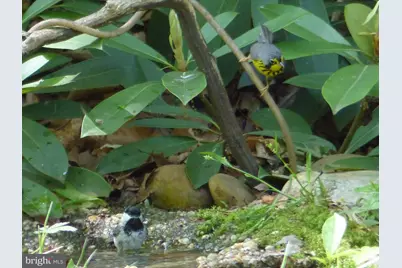 2205 Paul Spring Road, Alexandria, VA 22307 - Photo 116