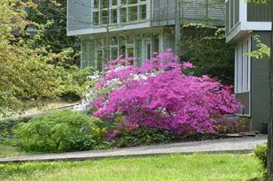 2205 Paul Spring Rd, Alexandria, VA 22307 - Photo 98