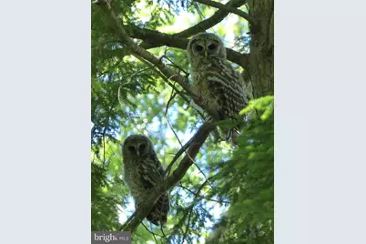 2205 Paul Spring Road, Alexandria, VA 22307 - Photo 114