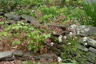 2205 Paul Spring Rd, Alexandria, VA 22307 - Photo 92