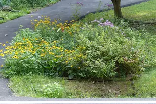 2205 Paul Spring Rd, Alexandria, VA 22307 - Photo 106