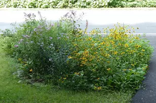 2205 Paul Spring Rd, Alexandria, VA 22307 - Photo 104