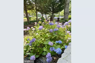 5915 Edgehill Drive, Alexandria, VA 22303 - Photo 34