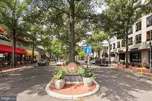 3713 S George Mason Dr, Falls Church, VA 22041 - Photo 48