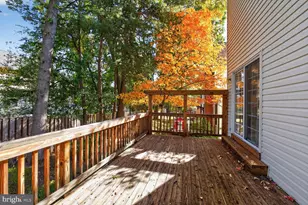 6338 Alderman Dr, Alexandria, VA 22315 - Photo 12