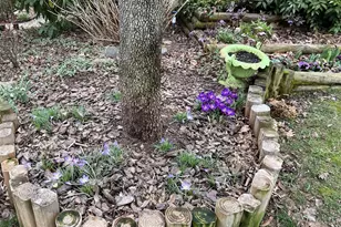 13855 Laura Ratcliff Ct, Centreville, VA 20121 - Photo 60