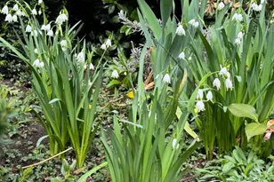 3022 Fox Mill Rd, Oakton, VA 22124 - Photo 82