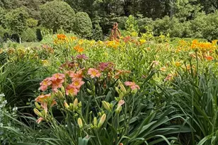 3022 Fox Mill Rd, Oakton, VA 22124 - Photo 84