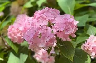 3022 Fox Mill Rd, Oakton, VA 22124 - Photo 78