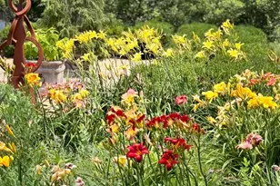 3022 Fox Mill Rd, Oakton, VA 22124 - Photo 80