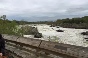 1507 Laurel Hill Rd, Vienna, VA 22182 - Photo 58